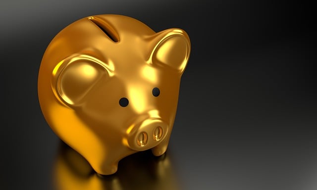 personal finance software