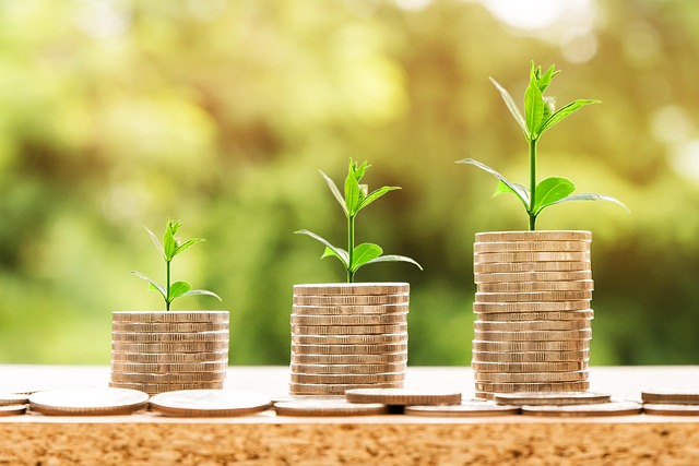 personal finance software