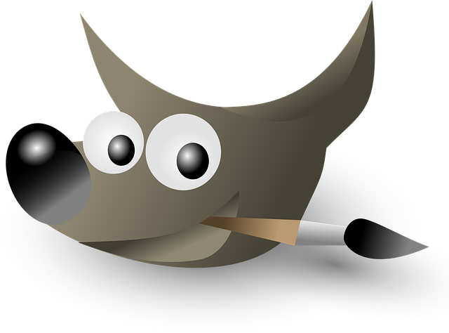 personal finance software