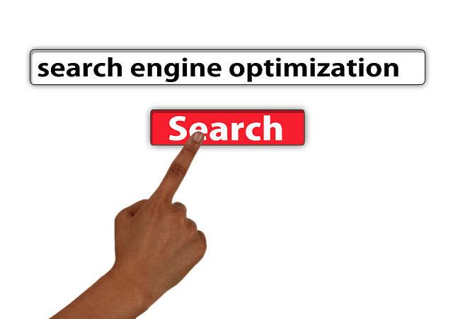 search engine optimization