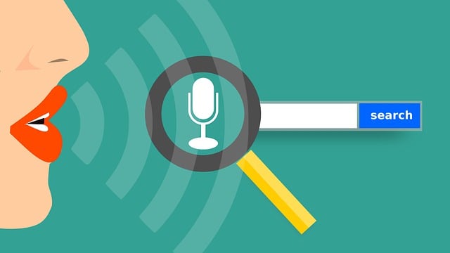 search engine optimization