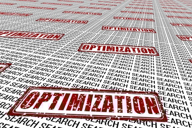 search engine optimization