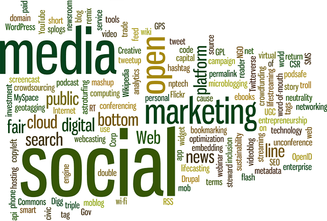 search engine optimization