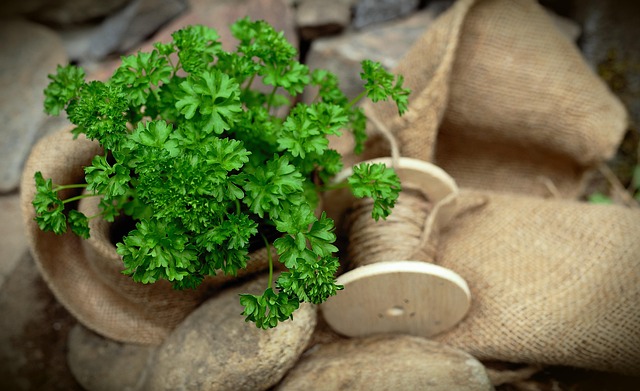seasoning mixes