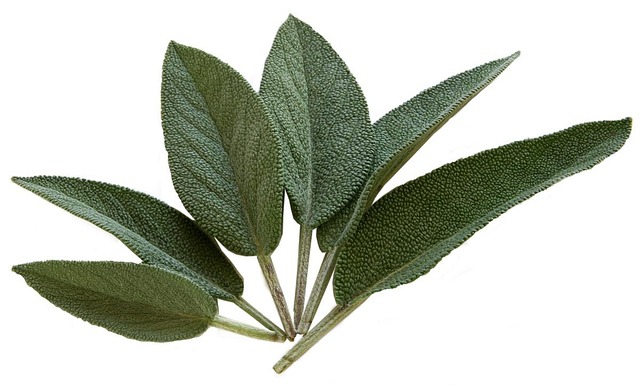 seasoning-mixes-640x480-79929797.jpeg