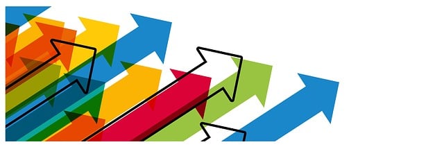 social media management