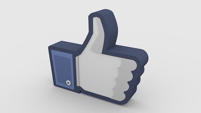 social media management