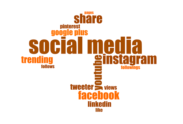 social media management