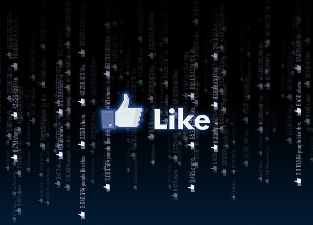 social media management