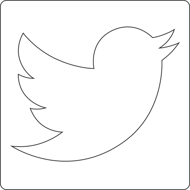 social media management