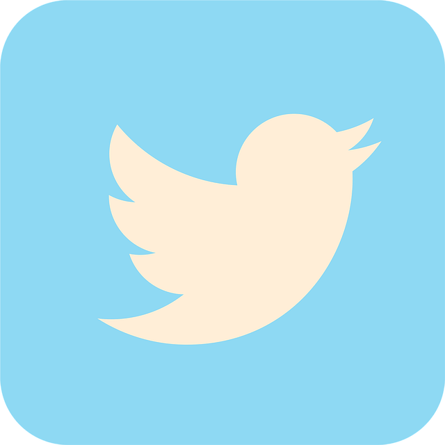 social media management
