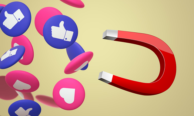 social media management