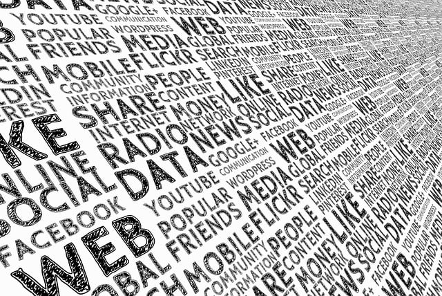 social media management
