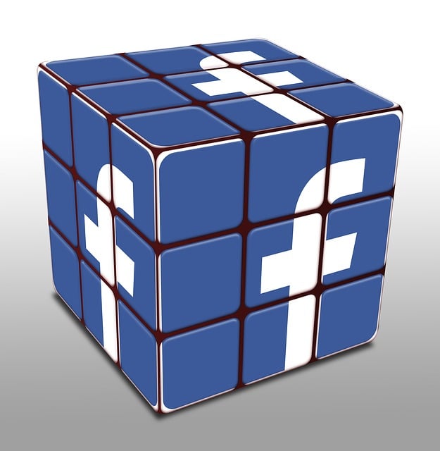social media management
