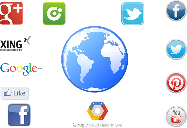 social media management