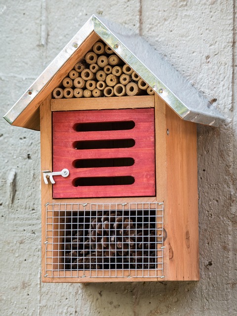 sonic cat repellents
