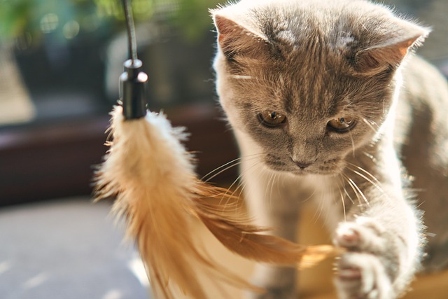 sonic cat repellents