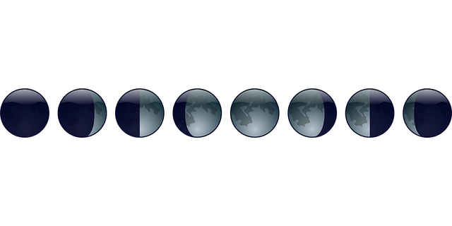 state quarters