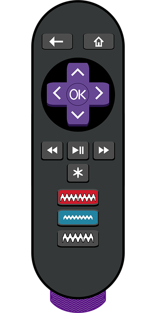 streaming media players