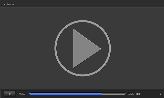 streaming media players