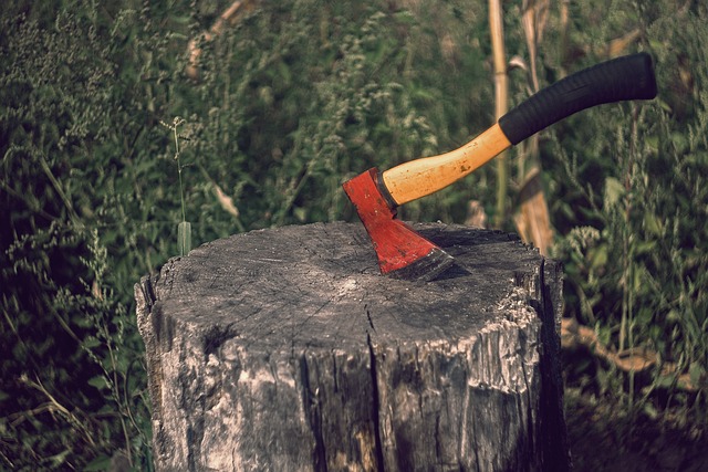stump-grinding-640x480-10588762.jpeg