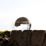 Navigating Vancouver WA Stump Grinding: Compliance Essentials Revealed