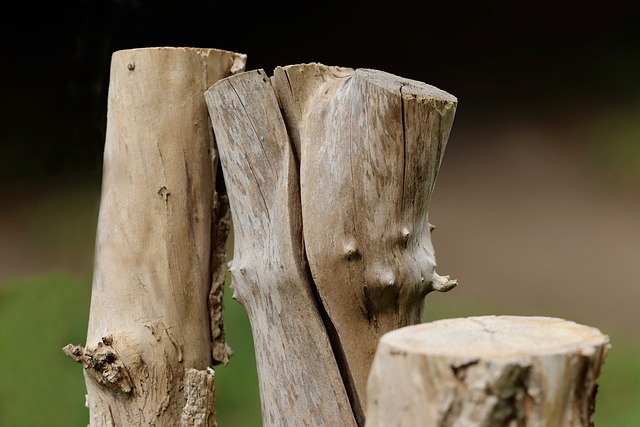 stump grinding