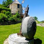 Portland OR Stump Grinding: Accelerate Decay, Remove Efficiently