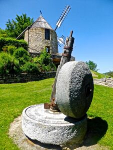 stump-grinding-640x480-35778605.jpeg