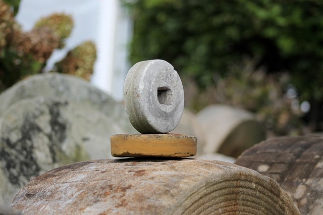 stump grinding