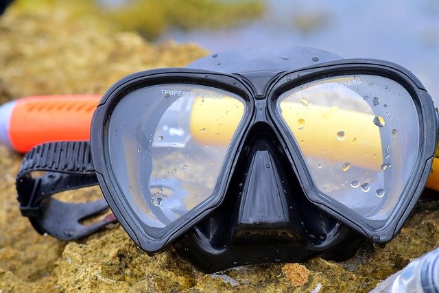 swimming equipment
