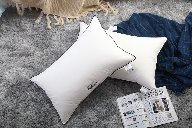 throw pillow