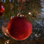 Navigating Portland OR Tree Removal Contracts Wisely