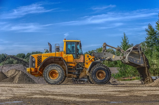 tree removal