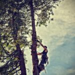 Portland OR: Efficient Storm Damage Cleanup & Prevention Guide