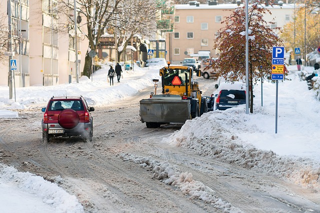 tree-removal-640x480-50068510.jpeg