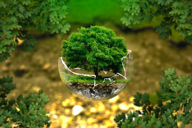 tree-removal-640x480-61538422.jpeg