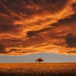 Fire Safe: Portland OR Tree Removal Best Practices