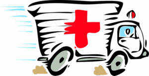tree-services-640x480-23789159.png