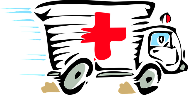 tree-services-640x480-23789159.png