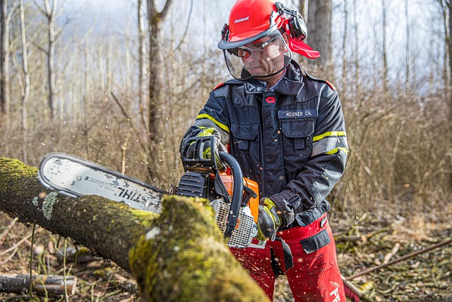 tree services