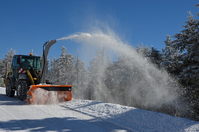 tree services