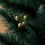 Certified Portland Tree Climbers: Expert Urban Care