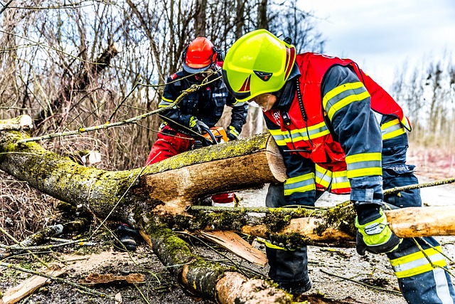tree services