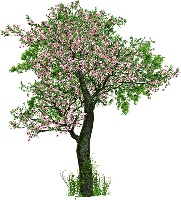 tree trimming