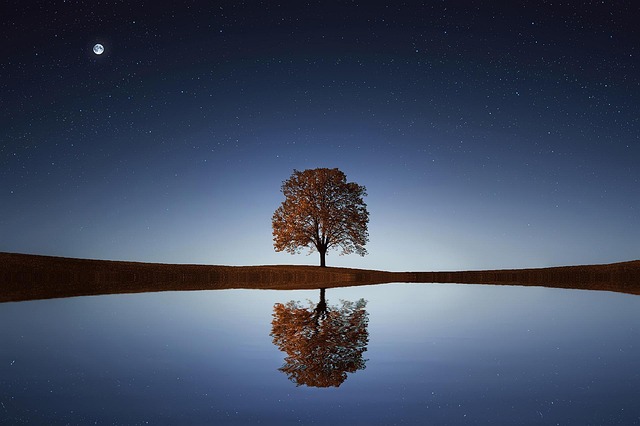 tree-trimming-640x480-23091391.jpeg