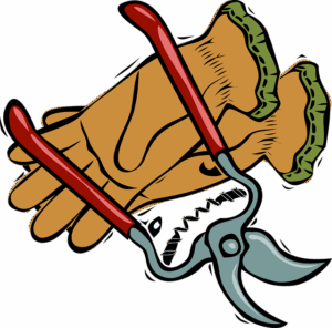 tree-trimming-640x480-41516093.png
