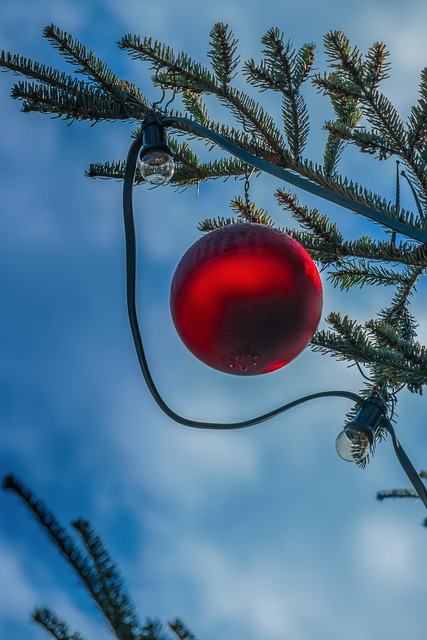 tree trimming