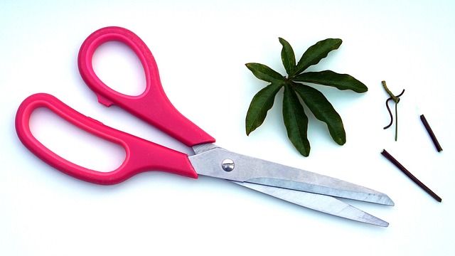 tree-trimming-640x480-73756423.jpeg