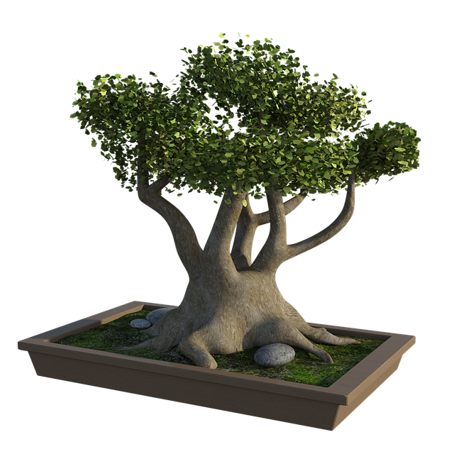 tree trimming